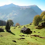 Colette - 1 By Interhome Apartment Grindelwald