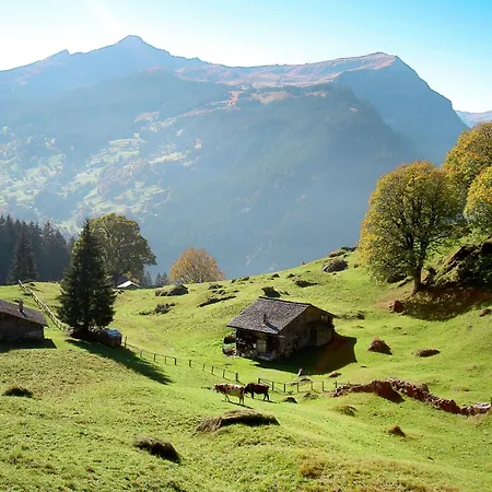 Colette-1 By Interhome Apartment Grindelwald