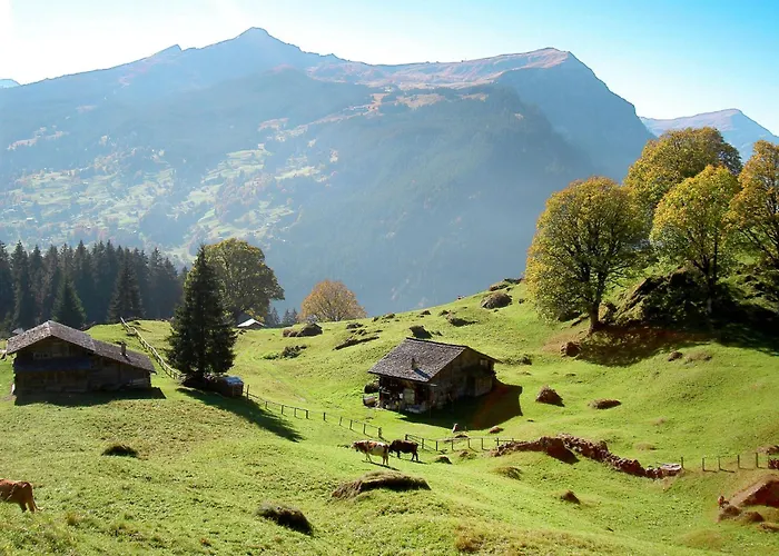 Colette - 1 By Interhome Apartamento Grindelwald