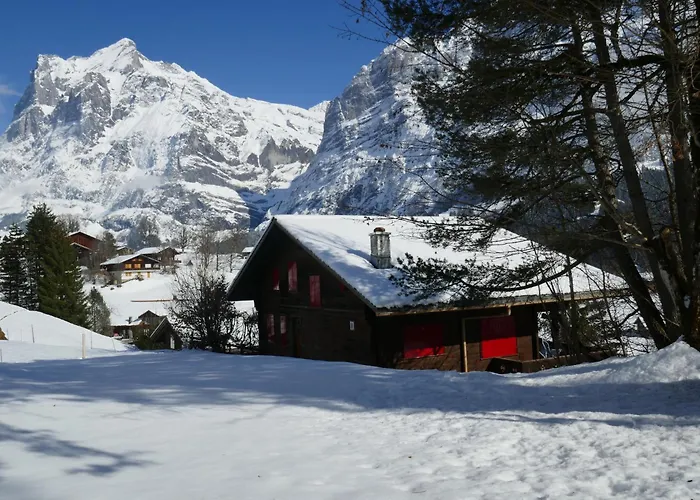 Lejlighed Colette - 1 By Interhome Grindelwald