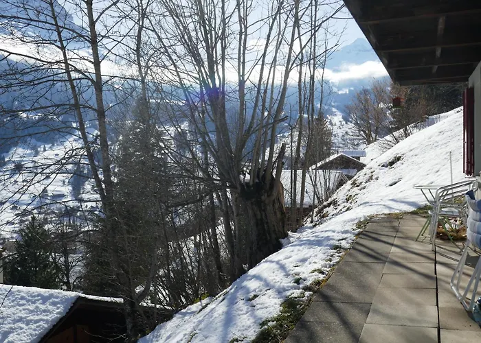 Colette - 1 By Interhome * Grindelwald